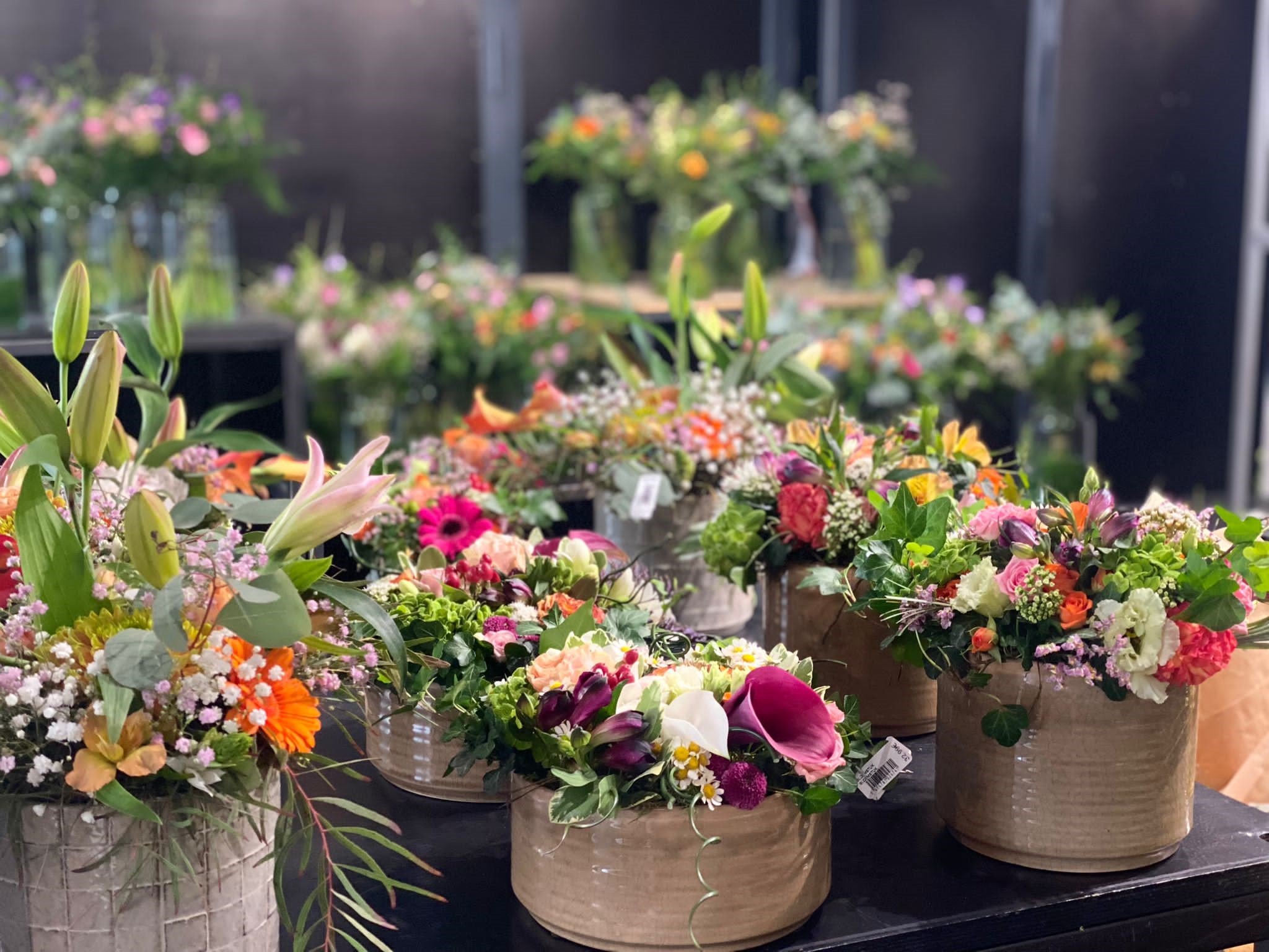 Floralux Flexi op onze afdeling Snijbloemen