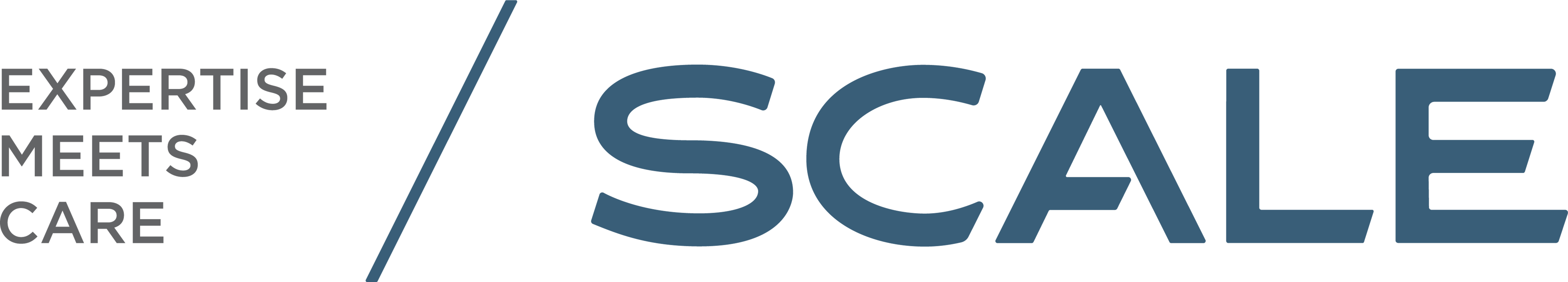 Scale logo