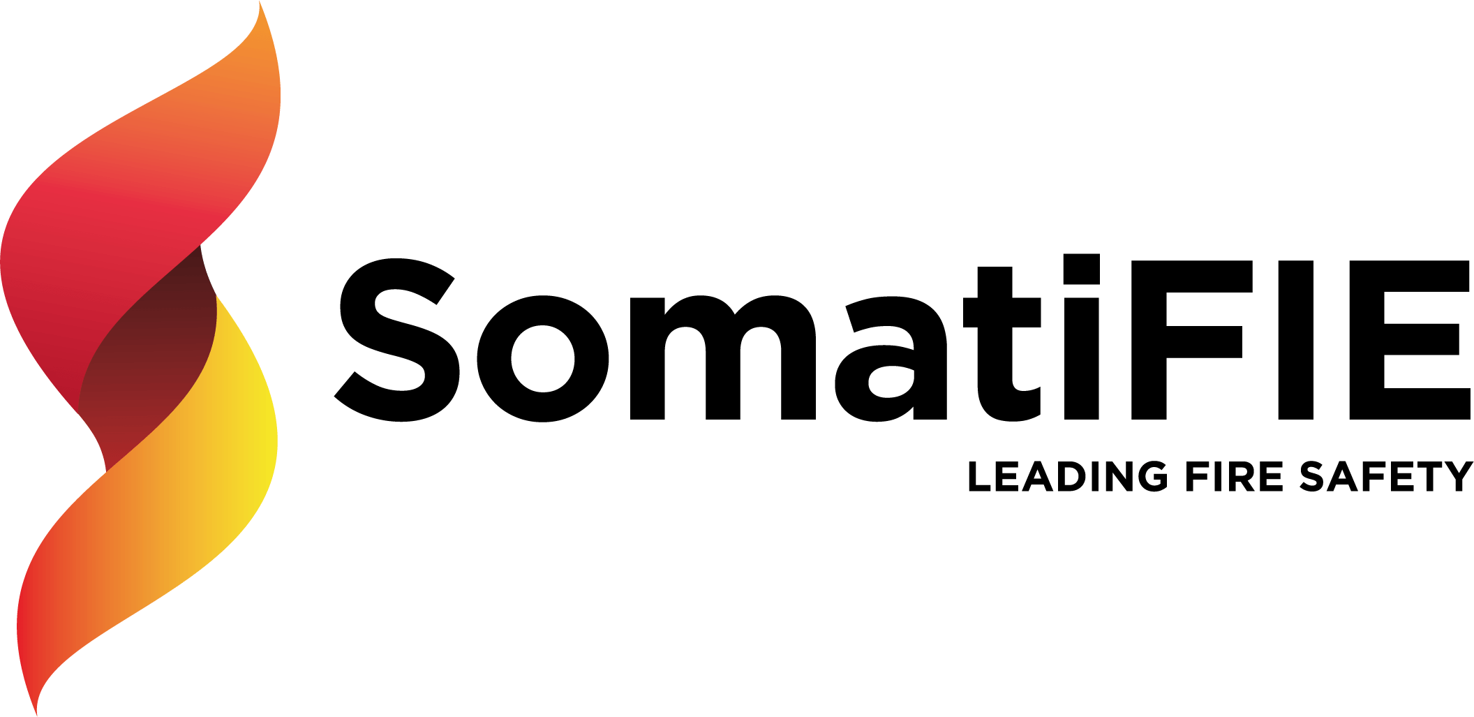 SomatiFIE logo