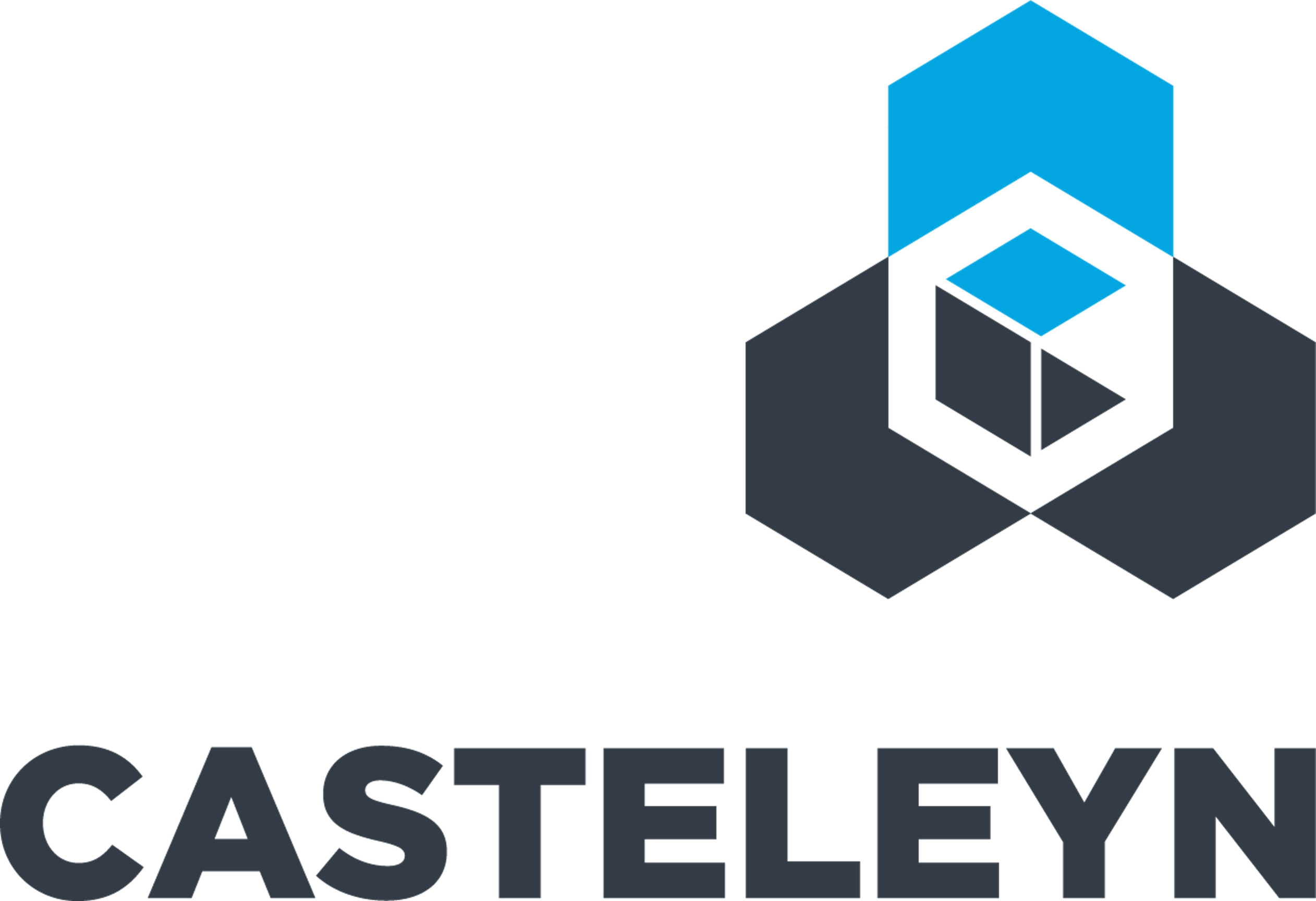 CASTELEYN logo