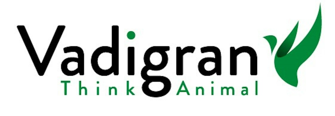 Vadigran logo